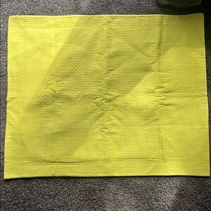 SFERRA/ Peter Som Queen Pillow Case in Chartreuse